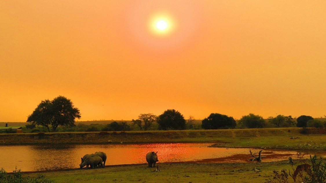 Watering hole at sunset