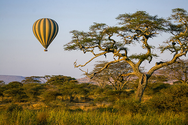 Hot air balloon safari