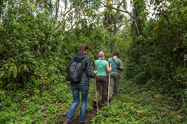 Nature trek in Rwanda