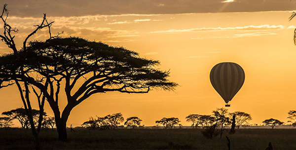 Hot air balloon safari