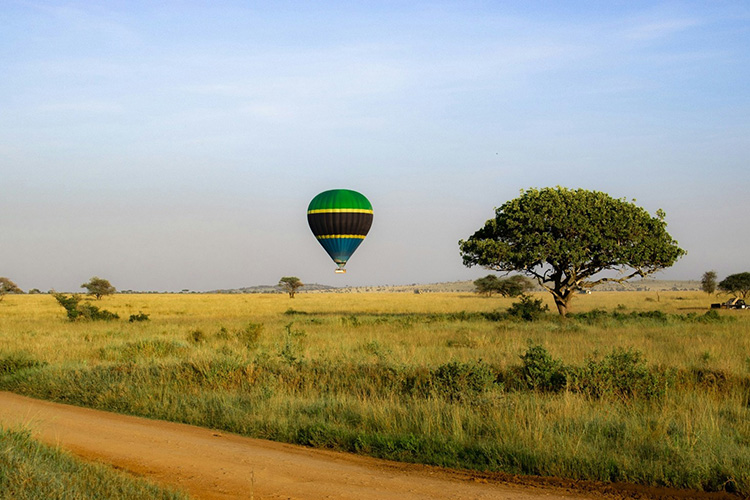 Balloon Safari