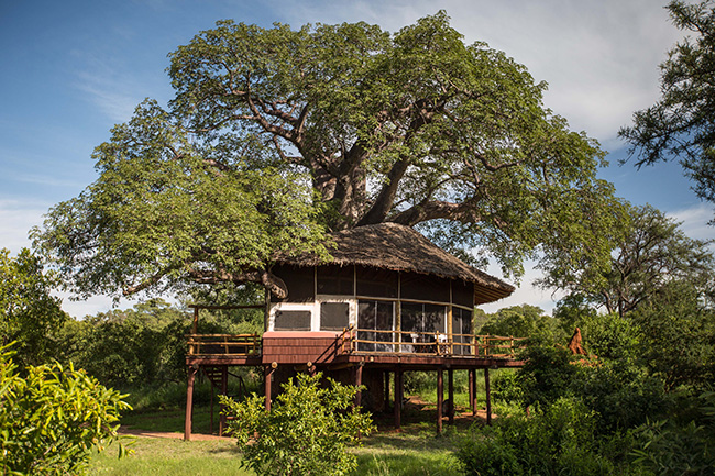 Treehouse accommodation at Elewana Tarangire Treetops